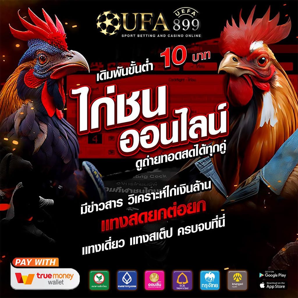 公司网站如何优化